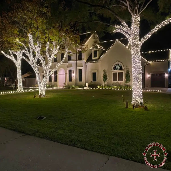 House exterior with decorative Christmas lights on trees and windows at night.