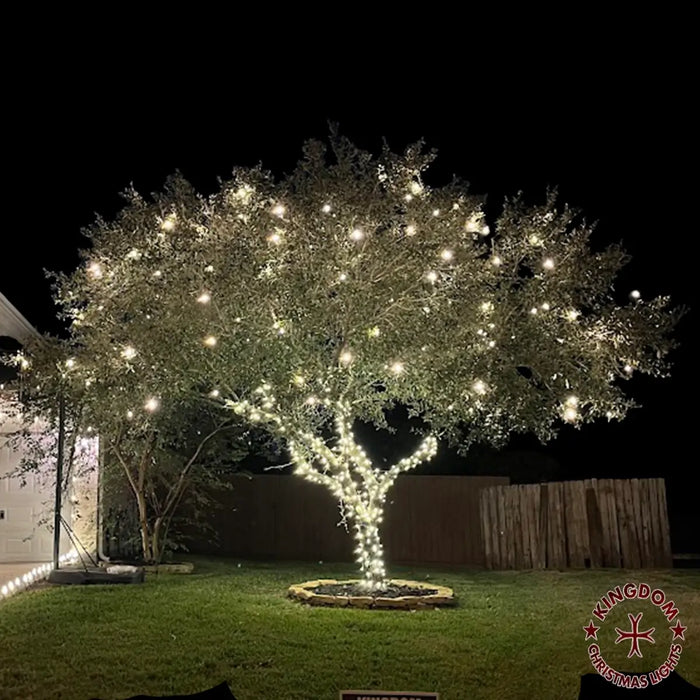 A tree adorned with Christmas lights wrapped around its trunk and branches, with a bright C7 LED light canopy top adding a festive touch.