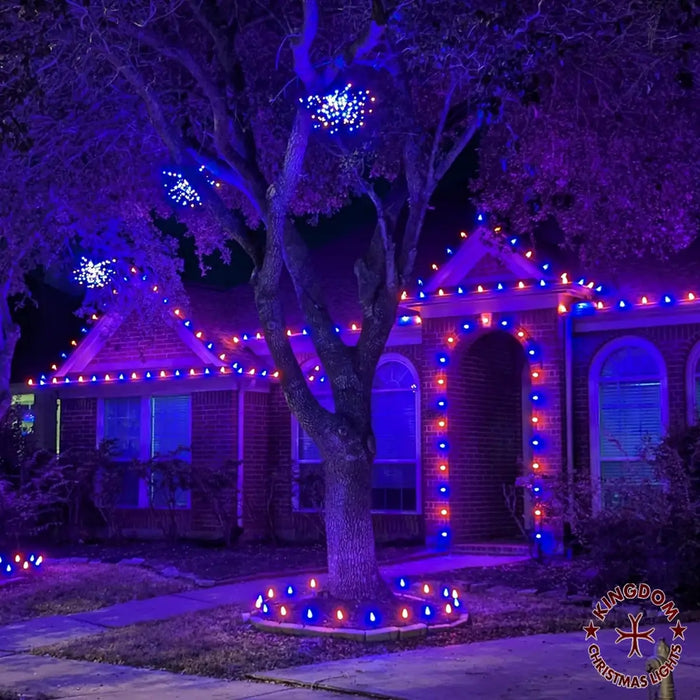 A house decorated with Halloween lights in a dark environment, featuring a tree in front and a window with a light reflection.