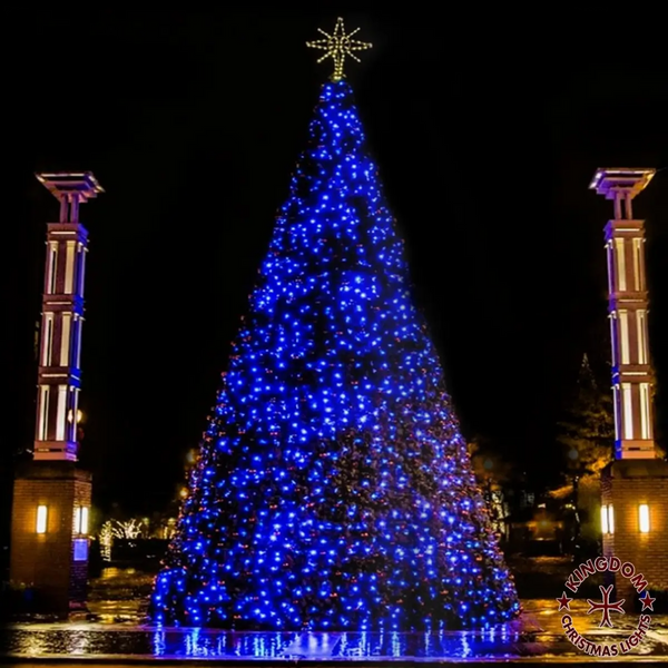 Blue Christmas tree with star on top, flanked by two tall structures, at night.