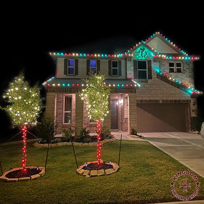 House decorated with Christmas lights and trees on a dark night.