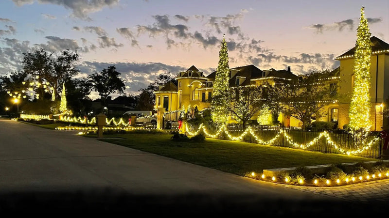 Decorative outdoor lighting on a house and trees at dusk.
