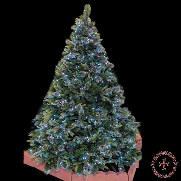 Decorated Christmas tree with lights on a black background