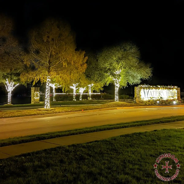 Decorative Christmas lights on trees with a sign in the background at night.
