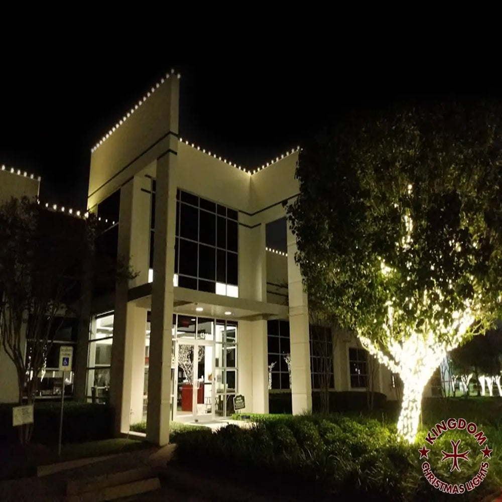 Commercial building with warm white roofline lighting and decorated trees