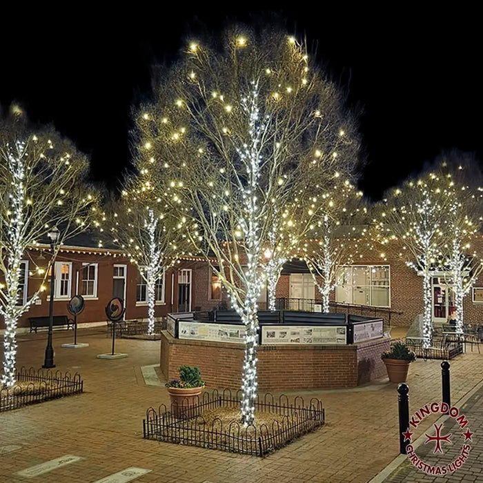 Decorative Christmas lights on trees in an outdoor setting with a building in the background.