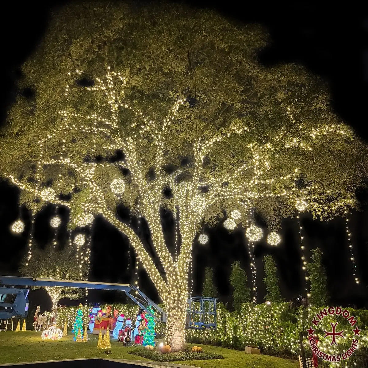 Large tree wrapped in warm white lights with glowing spheres hanging from the branches.