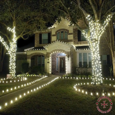 House decorated with Christmas lights on trees and around the yard.