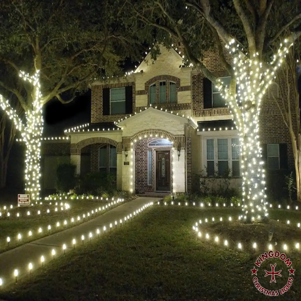 House decorated with Christmas lights on trees and around the yard.
