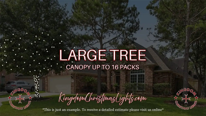 Advertisement for Kingdom Christmas Lights with a large tree and text overlay.