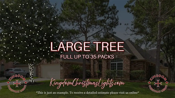 Advertisement for Kingdom Christmas Lights with a large tree and house in the background.