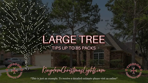 Advertisement for Kingdom Christmas Lights with a large tree decorated and a house in the background.