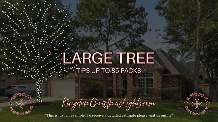 Advertisement for Kingdom Christmas Lights with a large tree decorated and a house in the background.