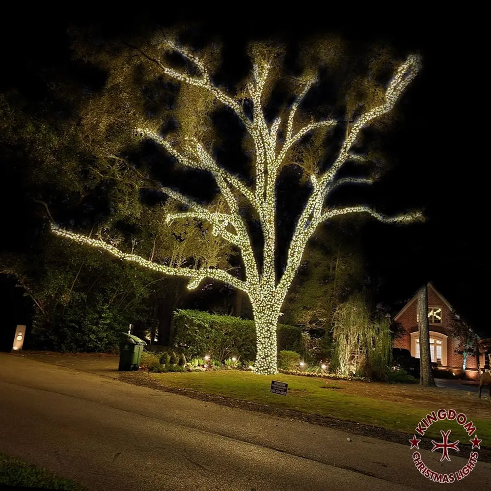 A mature tree illuminated with warm white lights from the trunk through its broad canopy.