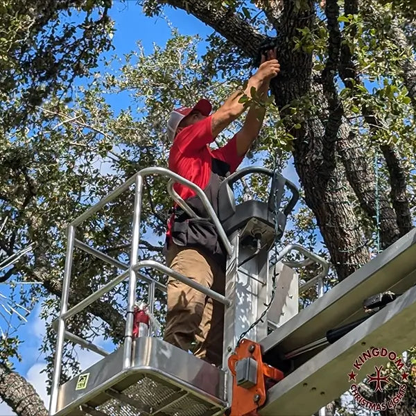 A person in a red shirt and beige pants is on a ladder, wrapping Christmas lights around a large tree.