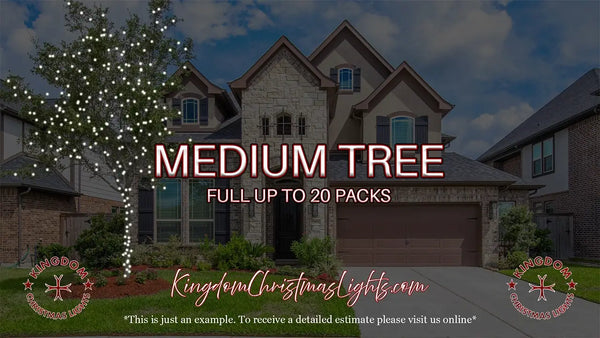 Advertisement for Kingdom Christmas Lights with a house and tree in the background