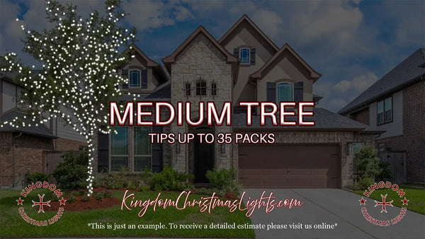 Advertisement for Kingdom Christmas Lights with a house and decorated tree, featuring text about tree tips and packaging.