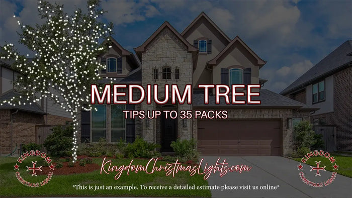 Advertisement for Kingdom Christmas Lights with a house and decorated tree, featuring text about tree tips and packaging.