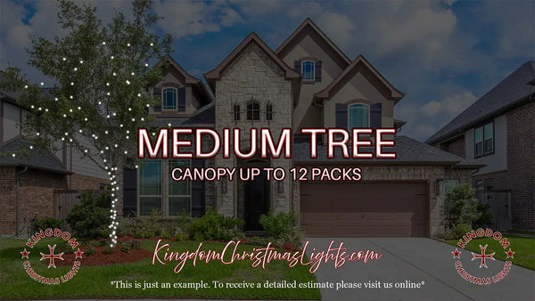 Advertisement for Kingdom Christmas Lights with a house and tree in the background