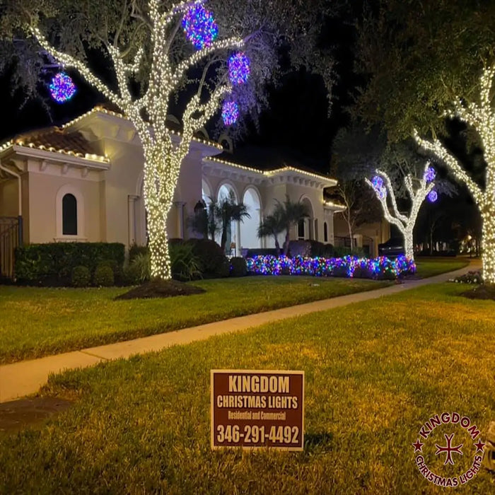 Decorative Christmas lights on trees in a residential area with a Kingdom Christmas Lights sign.
