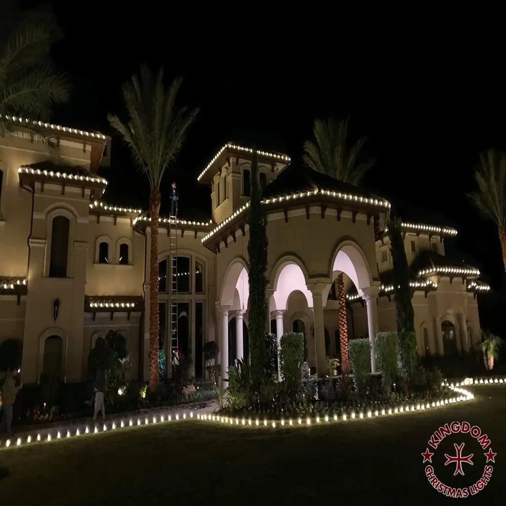 Luxurious building with decorative lights at night, surrounded by palm trees.