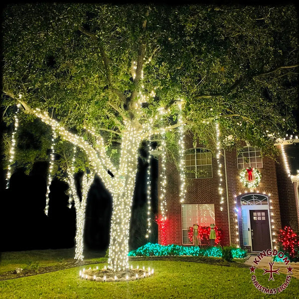 Decorative Christmas lights on a tree in front of a house with festive decorations.
