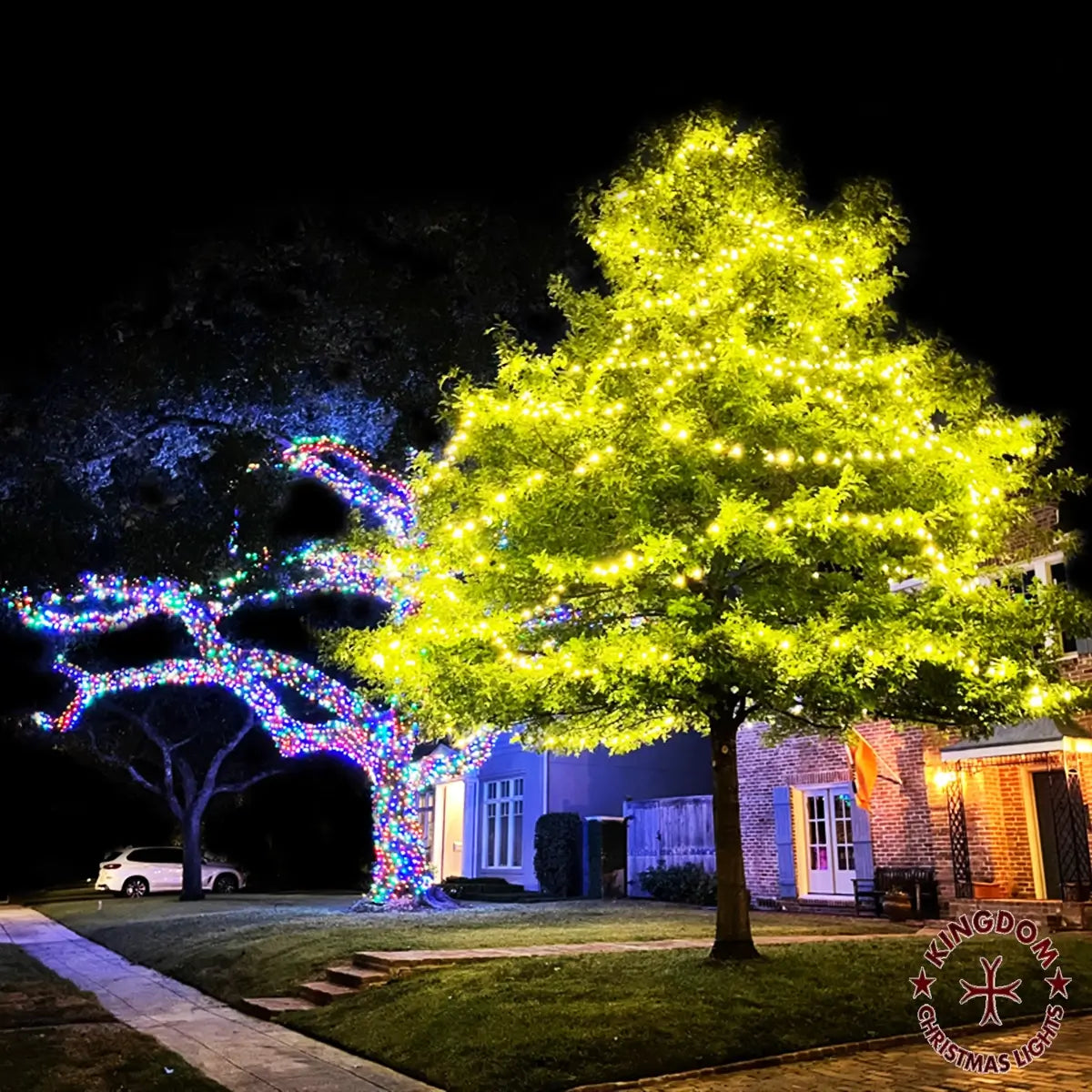 Mature trees wrapped in Christmas lights at a residential property