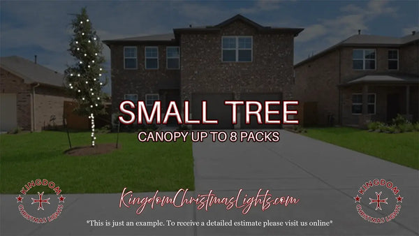 Advertisement for Kingdom Christmas Lights with a house and small tree in the background.