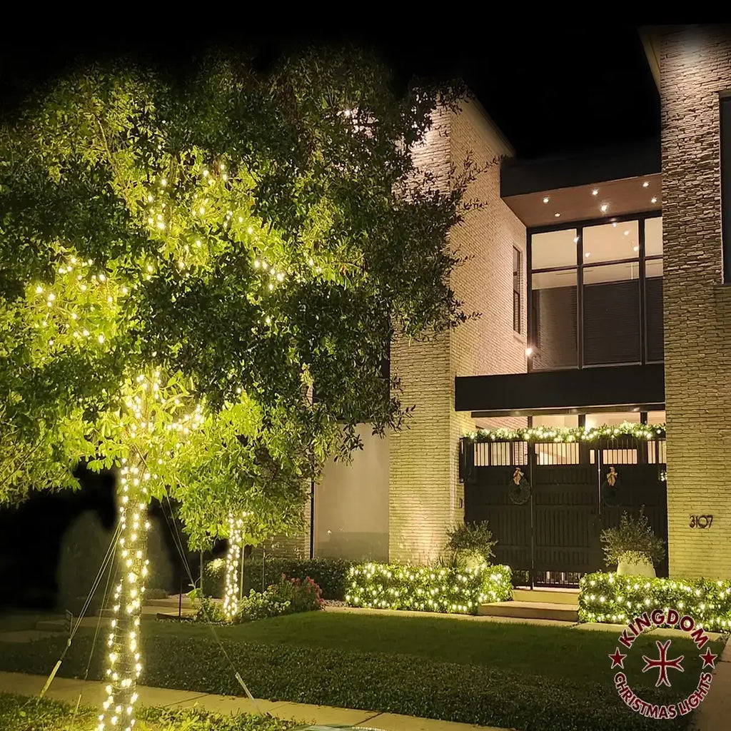 Decorative string lights on a tree and building exterior with Kingdom Christmas Lights logo.