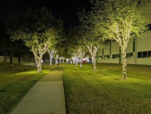 Large Tree Commercial Christmas Lights Installation Houston
